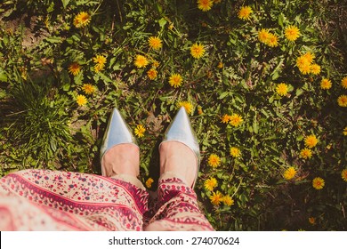 Top View  Silver Woman Shoes  On Grass With Dandelions