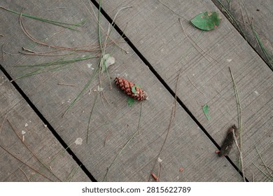 Top view of a small fallen pine cone and pine needles scattered on a rustic wooden plank boardwalk.