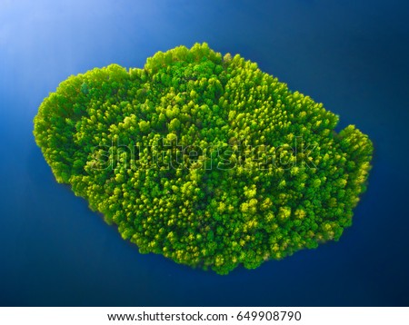 Top view of a small green island in the blue sea, ocean, river, lake. The weather is sunny.