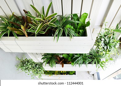 Top View Of Small Vertical Garden