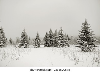 top view of the snow-covered forest in the mountains - Powered by Shutterstock