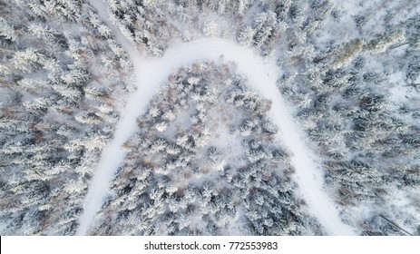 Top View Of Snowy Winter Forest And Road