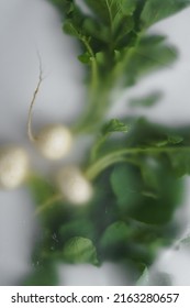 Top view, soft abstract blur filter three beautiful white radish with green tail on white background