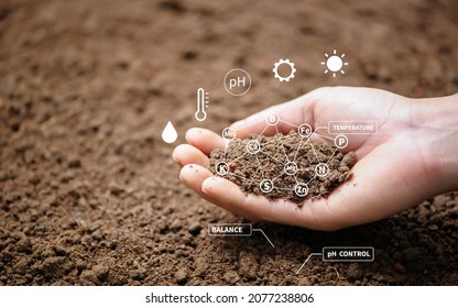Top view of soil in hands for check the quality of the soil for control soil quality before seed plant. Future agriculture concept. Smart farming, using modern technologies in agriculture