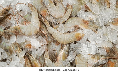 top view of some raw shrimps being cooled with ice. Background