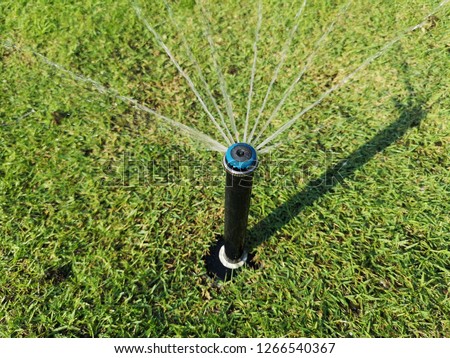 Top view of a stream rotator sprinkler for water irrigation on landscaped garden. 