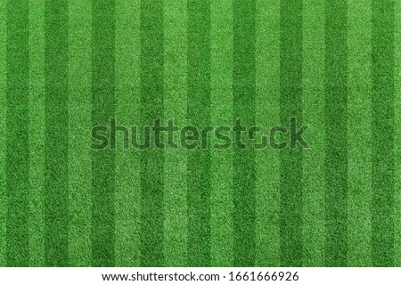 Top view stripe grass soccer field. Green lawn pattern background