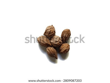 Top view studio shot of a small group of dry organic hicaco seeds or Chrysobalanus icaco endocarps isolated on white background from Guatemala.