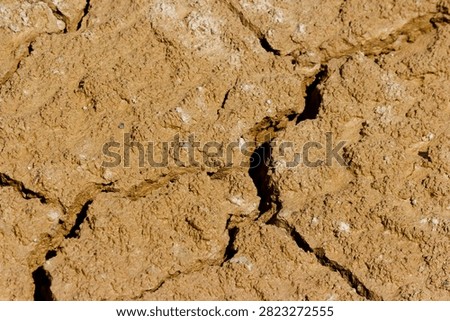 Top view of a sun-baked mud surface with deep cracks and uneven texture, showing dry earthy ground patterns caused by intense summer heat and dehydration of the land