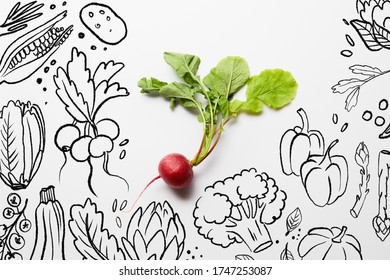 5 276件の 野菜 イラスト モノクロ の写真素材 画像 写真 Shutterstock