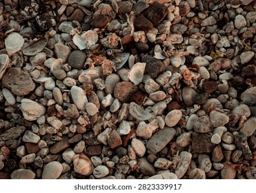 Top view texture of mixed pebbles, small stones, and broken seashells on a rugged beach coast.