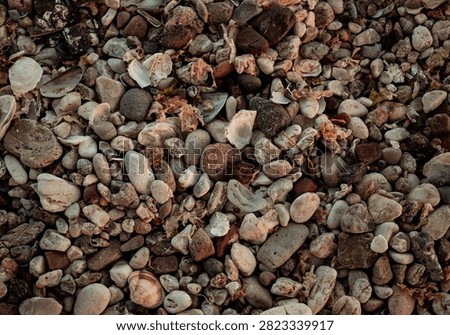 Top view texture of mixed pebbles, small stones, and broken seashells on a rugged beach coast.