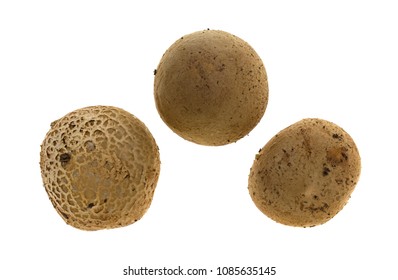 Top View Of Three Baby Bella Mushrooms Isolated On A White Background.