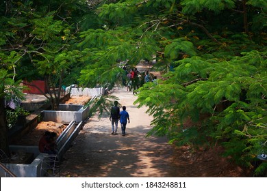 top view through green trees, people waking on park at marin drive, kochi,Kerala india.on 28.10.2020