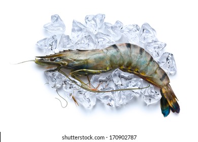 top view of tiger shrimp on ice cubes on white background