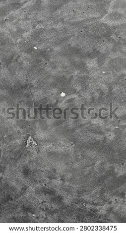 Top view of tiny seashells and small coral on grey beach sand texture