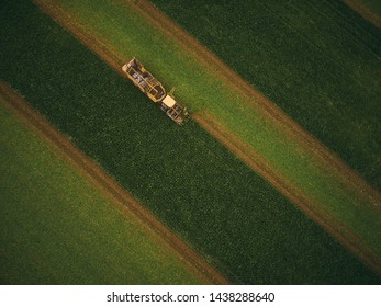 Top View Of The Tractor In The Field Of Sugar Beet. Aerial View