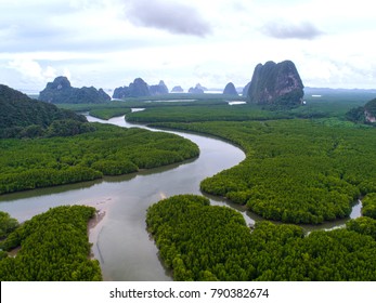 Top View Tree, Beautiful Background ,aerial View , Mangrove Forest, Natural Grass Texture