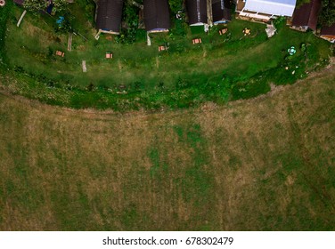 Top view of tree forest