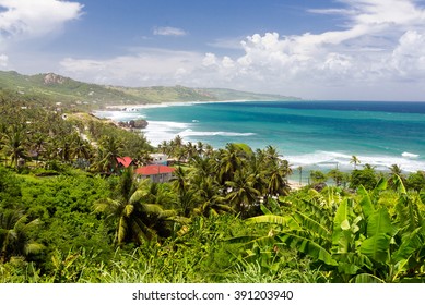 Top View Of Tropical Island Barbados, Caribbean
