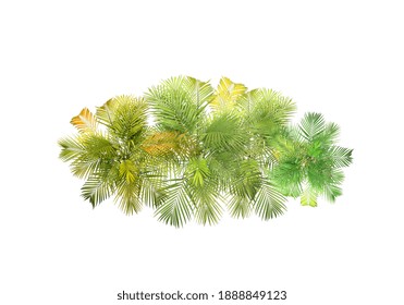 Top View Tropical Leaves Foliage Plant Bush Palm Arrangement Nature Backdrop Isolated On White Background