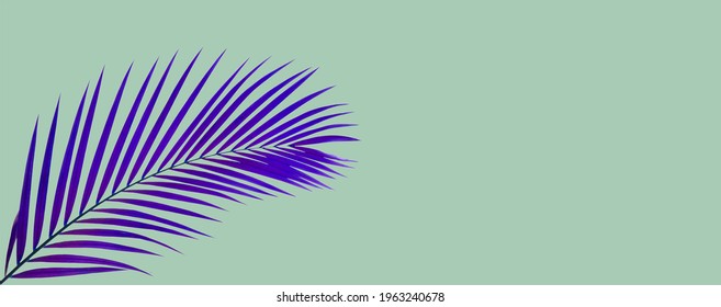 top view of tropical palm leaf on blue color background. minimal summer concept. flat lay - Shutterstock ID 1963240678