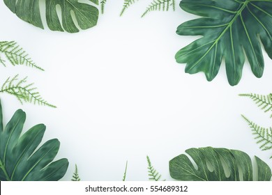 Top View Tropical Palm Leaves. Flat Lay, White Background