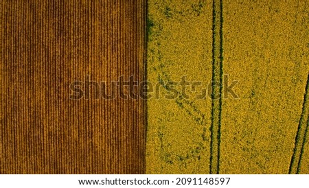 Similar – Image, Stock Photo colourful organic rape field with cornflowers and poppy seeds