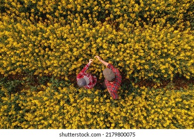 Top view of two farm workers examining crops in blooming rapeseed field on bright sunny spring day, male and female farmer standing in cultivated canola field - Powered by Shutterstock