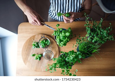 Top view of unrecognizable woman indoors at home, cutting green herbs. - Powered by Shutterstock