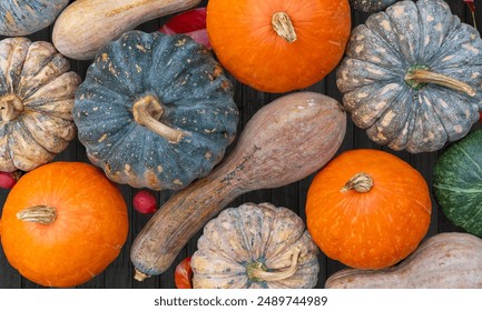 Top view of variety of autumn harvest with organics pumpkins, squash and gourds inside the wooden basket for thanksgiving and fall agriculture season produce - Powered by Shutterstock