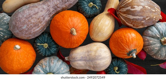 Top view of variety of autumn harvest with organics pumpkins, squash and gourds inside the wooden basket for thanksgiving and fall agriculture season produce - Powered by Shutterstock