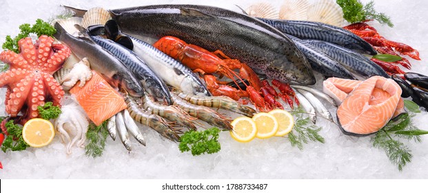 Top view of variety of fresh fish and seafood on ice