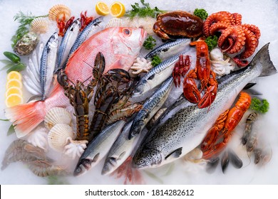 Top view Variety of fresh luxury seafood, Lobster salmon mackerel crayfish prawn octopus mussel red snapper scallop and stone crab, on ice background with icy smoke in seafood market. - Powered by Shutterstock