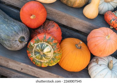A top view of a variety of pumpkins stack on wooden board
