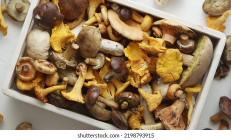 Top view of various wild mushrooms collected in wooden box