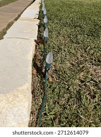Top View of A Vertical String Of Clear Christmas Lights On Dried Grass Next To Stone Retaining Wall Above A Curving Sidewalk With Grass On Either Side