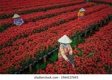 102,499 Vietnam Spring Images, Stock Photos & Vectors | Shutterstock