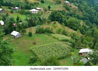 Top View Of A Village In A Mountainous Area, At The Bottom Of The House, Corn Fields, Haystacks
