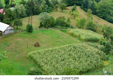 Top View Of A Village In A Mountainous Area, At The Bottom Of The House, Corn Fields, Haystacks
