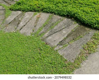 Top View Of A Walkway Which Made Of Triangle Concrete Slap In A Garden