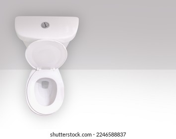 Top view of a Water-Saving Dual-Flush Toilet with two flush buttons or a two-stage lever. One setting is a normal 1.6-gallon flush and the other is a lighter .8- to 1.1-gallon of water.