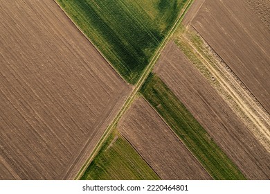 Top View Of Wheat Grass Field From Drone Pov As Abstract Agricultural Background