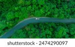 Top view of a white electric car driving  dark green forest road, which is an elevated road that surrounds natural forest. Concept of using electric cars to protect the environment and transportation.