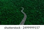 Top view of a white electric car driving  dark green forest road, which is an elevated road that surrounds natural forest. Concept of using electric cars to protect the environment and transportation.