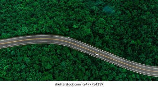 Top view of a white electric car driving  dark green forest road, which is an elevated road that surrounds natural forest. Concept of using electric cars to protect the environment and transportation.