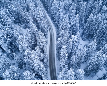 Top View Of Winter Forest And Road At Night