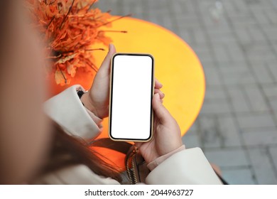 Top view of a woman hands holding smartphone with white blank screen. Copy space in autumn garden. Female reading text and watching video on a mobile phone.