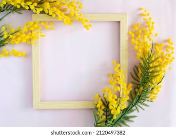 Top view of wooden empty frame with mimosa on a pink background. A beautiful composition of spring flowers with a place for a congratulatory text. Valentine's Day, Easter, Birthday, Happy Women's Day.