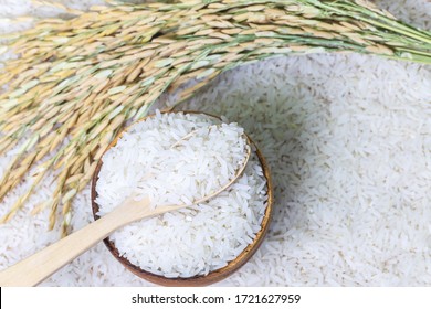 Riz High Res Stock Images Shutterstock